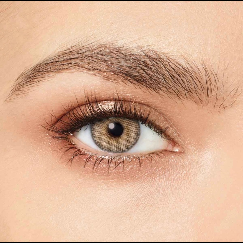 Desio Tender Hazel
